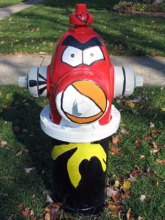 Angry Bird - Cornell and Monroe